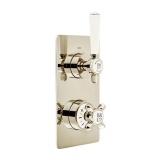 Booth & Co. Axbridge Nickel 2 Outlet 2 Handle Thermostatic Shower Valve